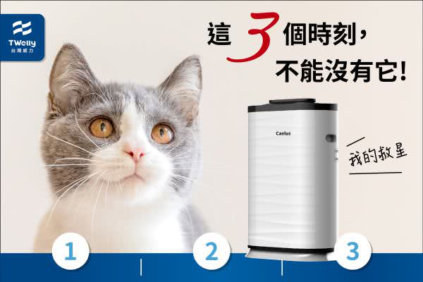 客戶META廣告組圖包範例